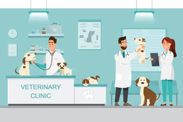 Sites para Clínica Veterinária